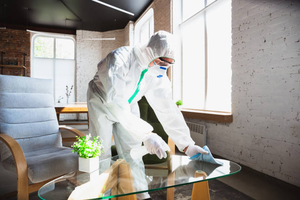 Why You Should Choose Our Mold Remediation Services in Lincoln, MO